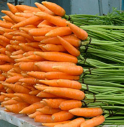 морфологический разбор слова морковь