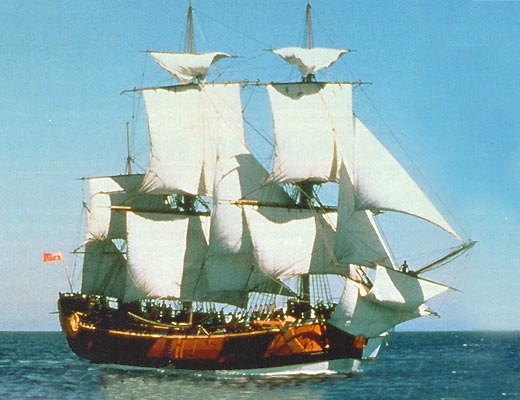 морфологический разбор слова барк