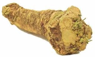 морфологический разбор слова хрен
