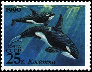морфологический разбор слова марка