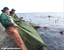 морфологический разбор слова невод