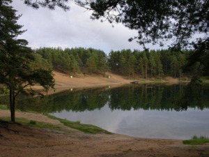 морфологический разбор слова озерко