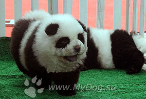 Түрмеде күзетшімен жыныстық қатынас