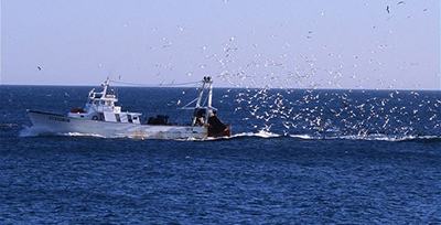 морфологический разбор слова пожива
