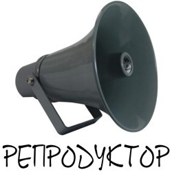 морфологический разбор слова репродуктор