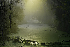 морфологический разбор слова топь