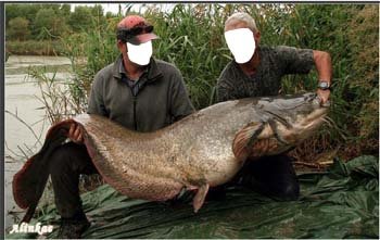 морфологический разбор слова улов